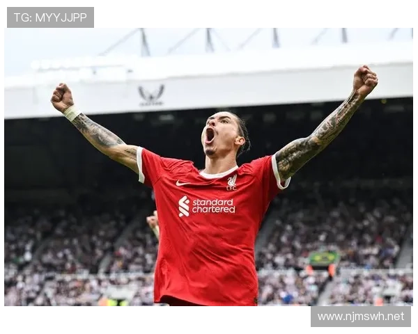 高价引援标签:努涅斯转会背后的期待与现实落差 高价引援标签:努涅斯转会背后的期待与现实落差